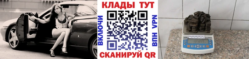 Магазины продажи наркотиков Каргополь A PVP  Меф  Гашиш  Каннабис 