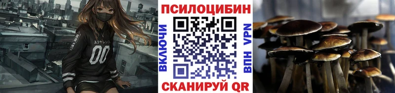 Галлюциногенные грибы прущие грибы  даркнет сайт  Каргополь 